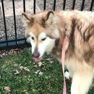 Meet your Posher, Cari